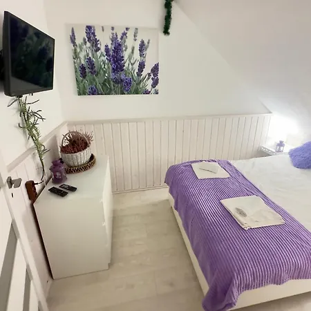 W Karpaczu ,, Lawendowy I Mieta Goralki 