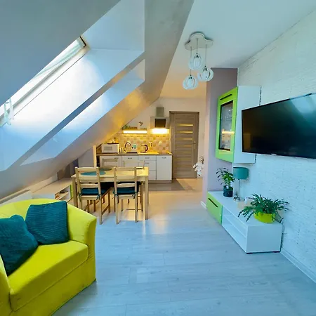 W Karpaczu ,, Lawendowy I Mieta Goralki 