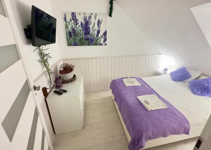 W Karpaczu ,, Lawendowy I Mięta Góralki 