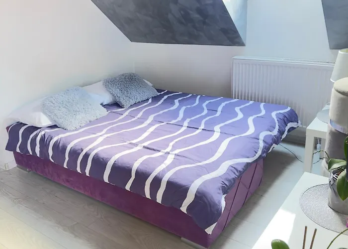 W Karpaczu ,, Lawendowy I Mięta Góralki 